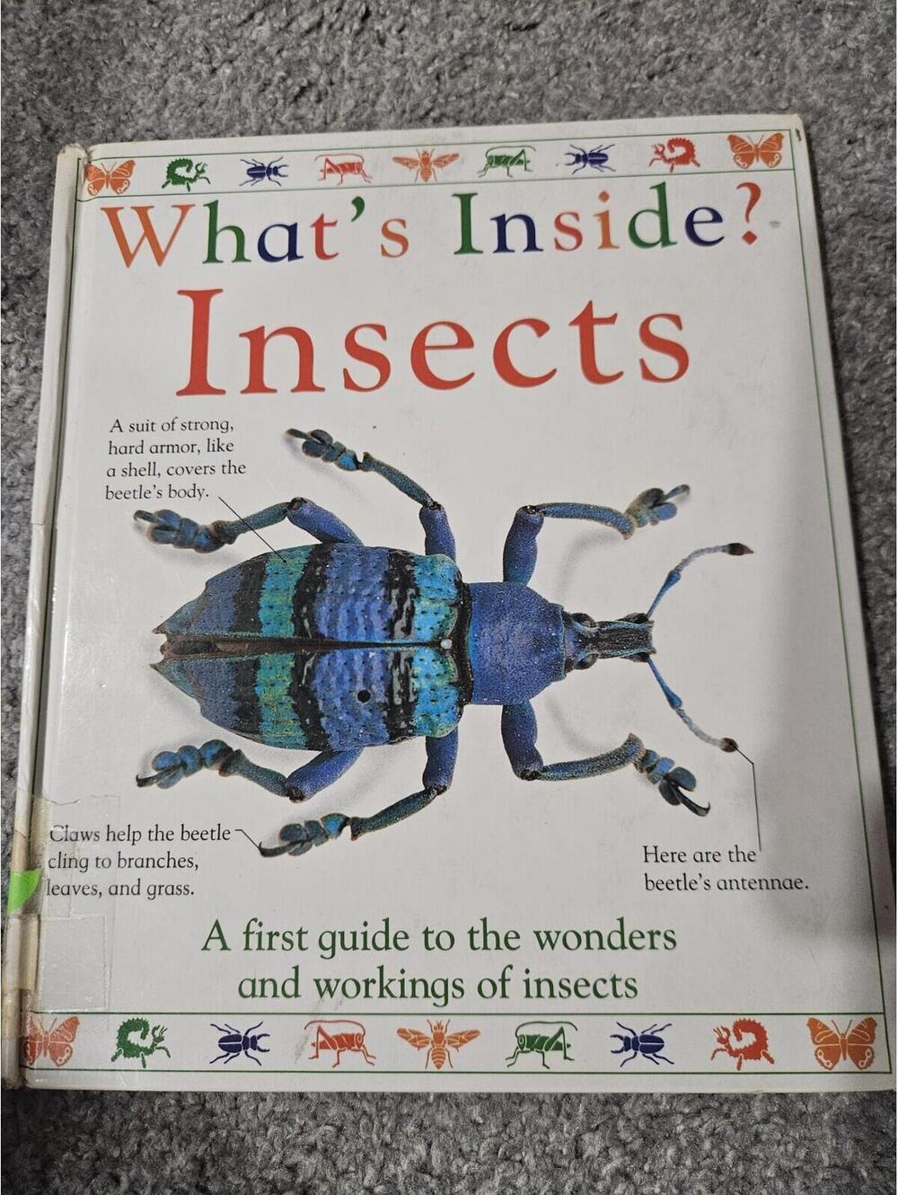 What’s Inside? Insects (Scholastic Book Club Edition, Hardcover, DK/Scholastic,